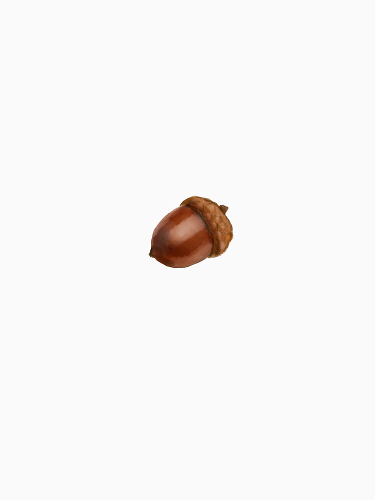 Acorn by Melissa Middleberg