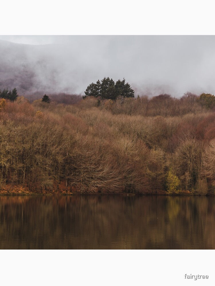 Autumn in Montseny, Spain by fairytree