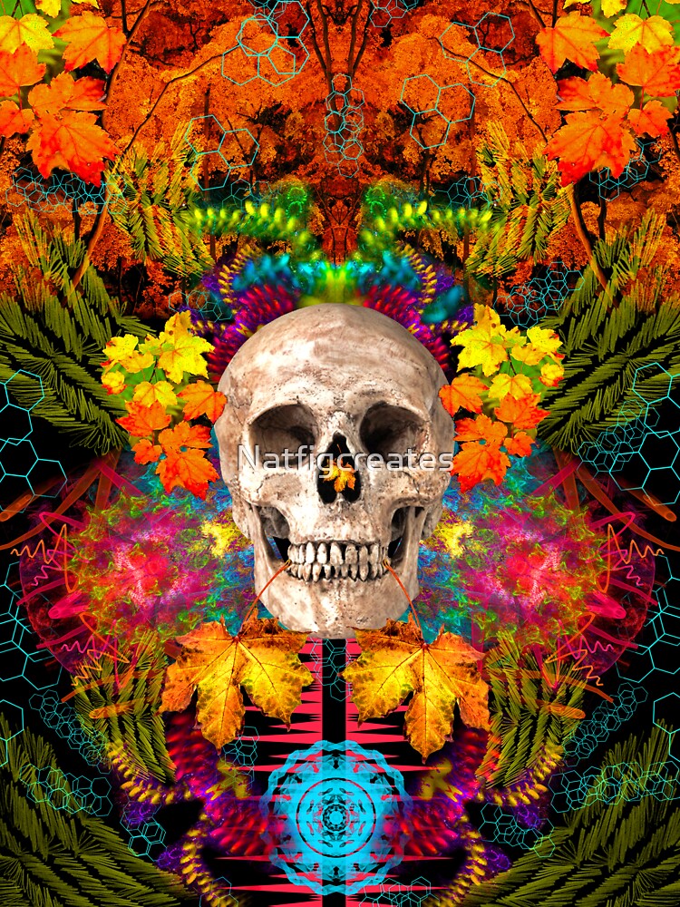 Harvest Skull 1 by Discordant Dreams Art