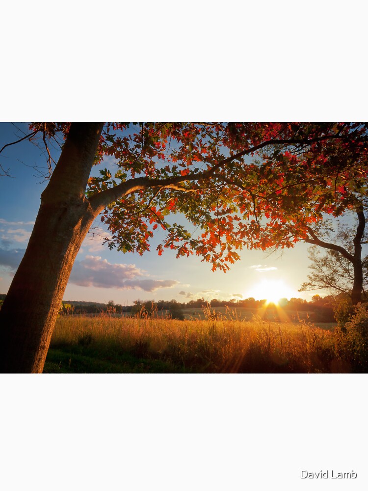 First Touch of Autumn by dlamb