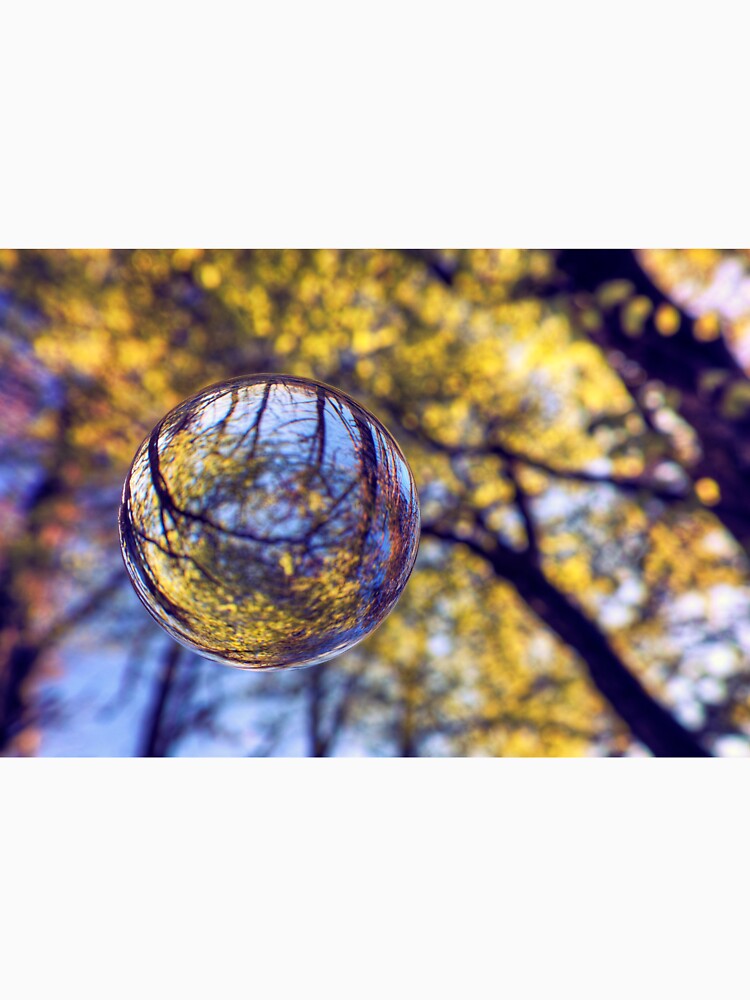 Woodland Orb by AntonyMitchell