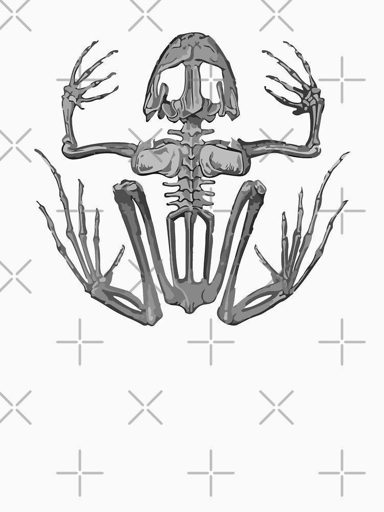 Frog Skeleton by llevine2934