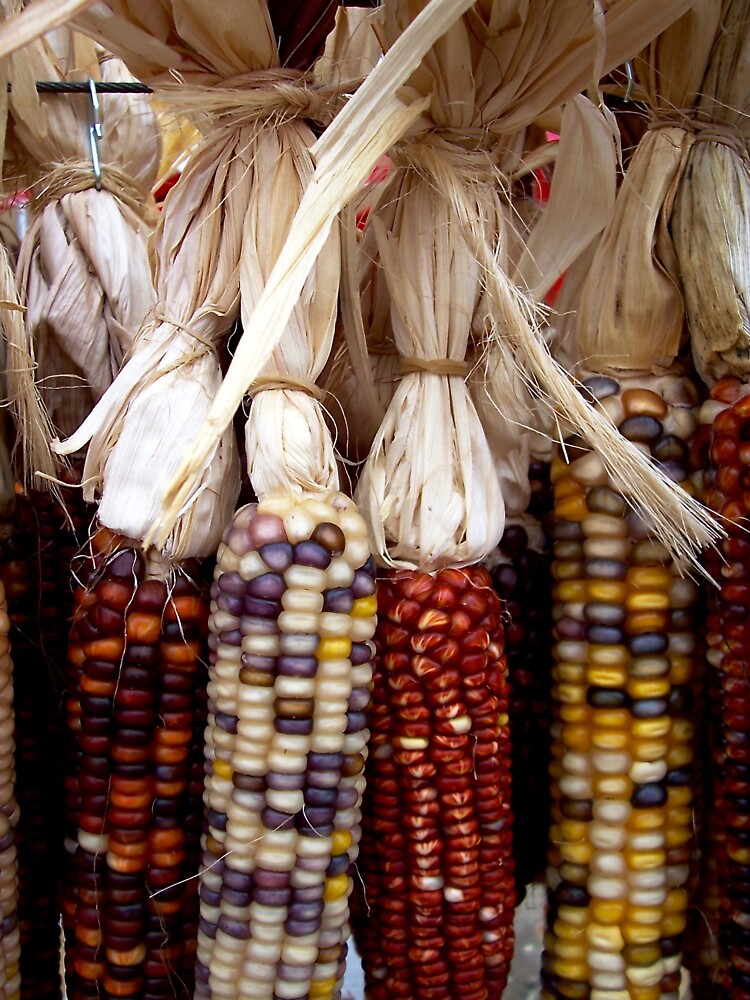 Autumn Harvest 2 by Douglas E. Welch Design and Photography