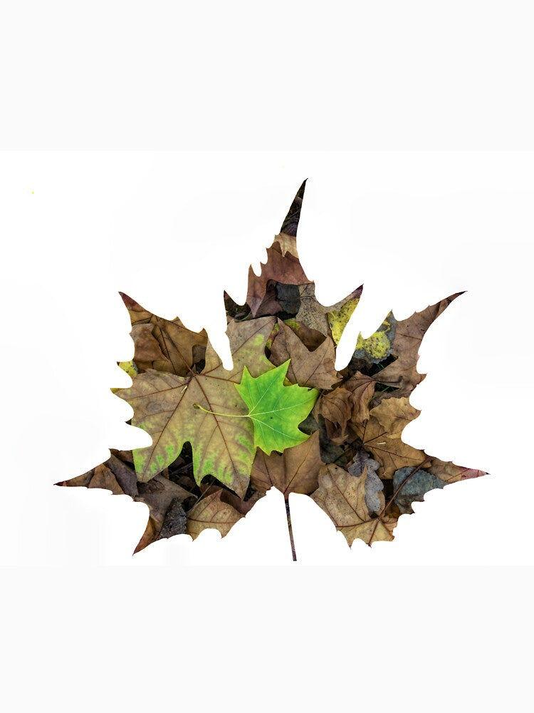 Autumn Leaves by Ladyshark