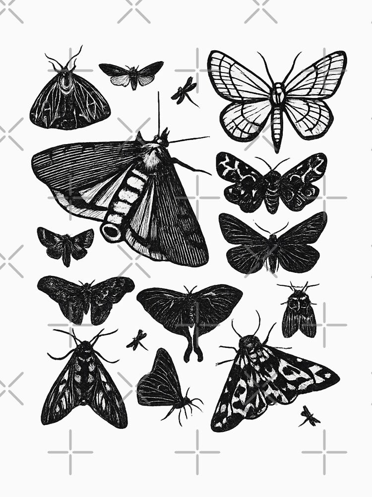 Black Moth and Butterfly Illustration | Vintage Entomology Insect Art | Dark Academia Aesthetic by 5CatDesign