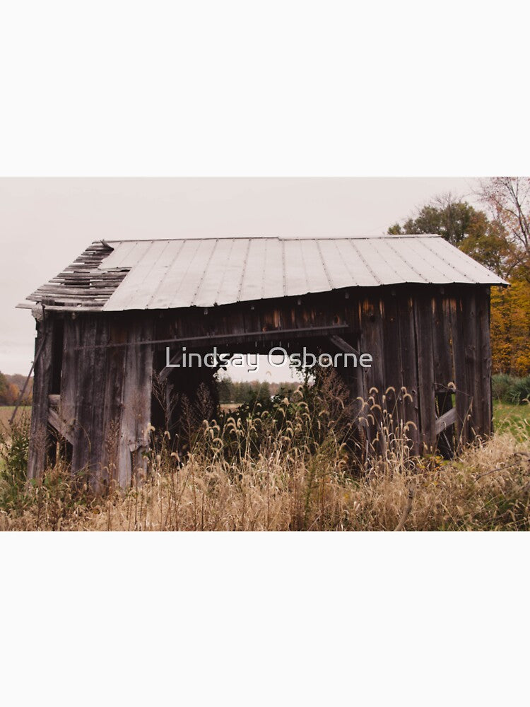 Shambles by Lindsay Osborne