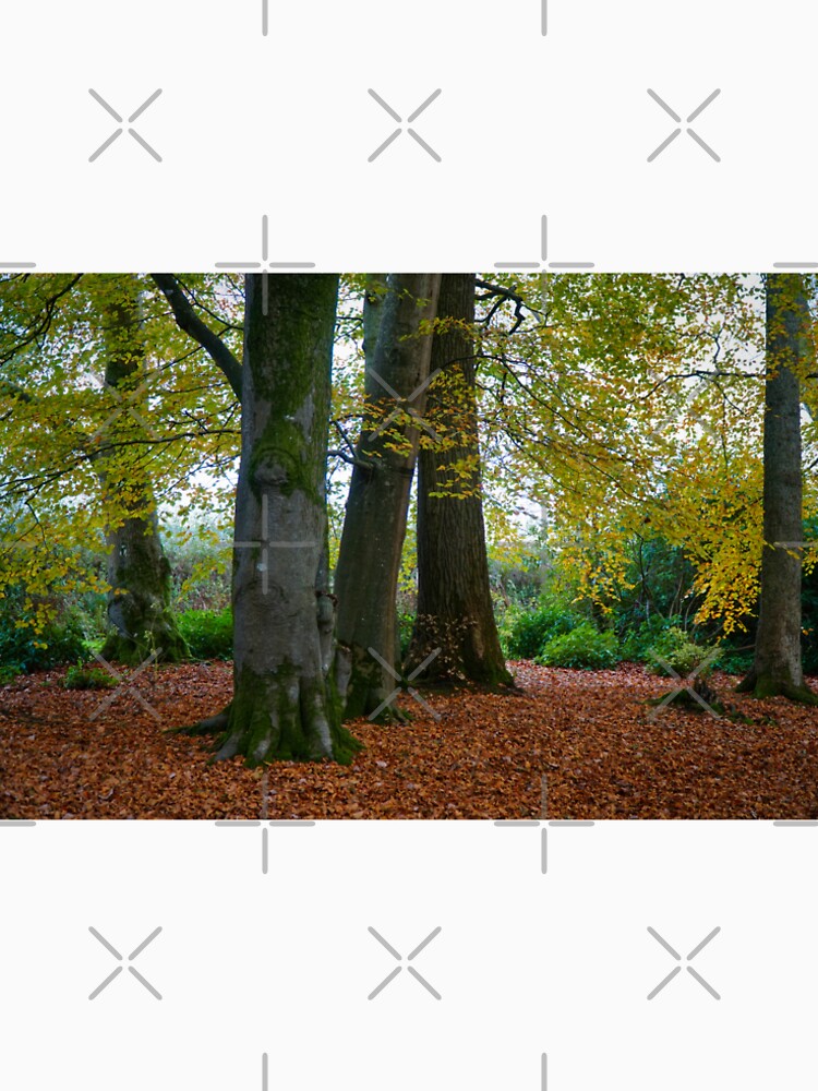 Autumn Woodland Landscape With Fallen Leaves by Harmony Of The Mind