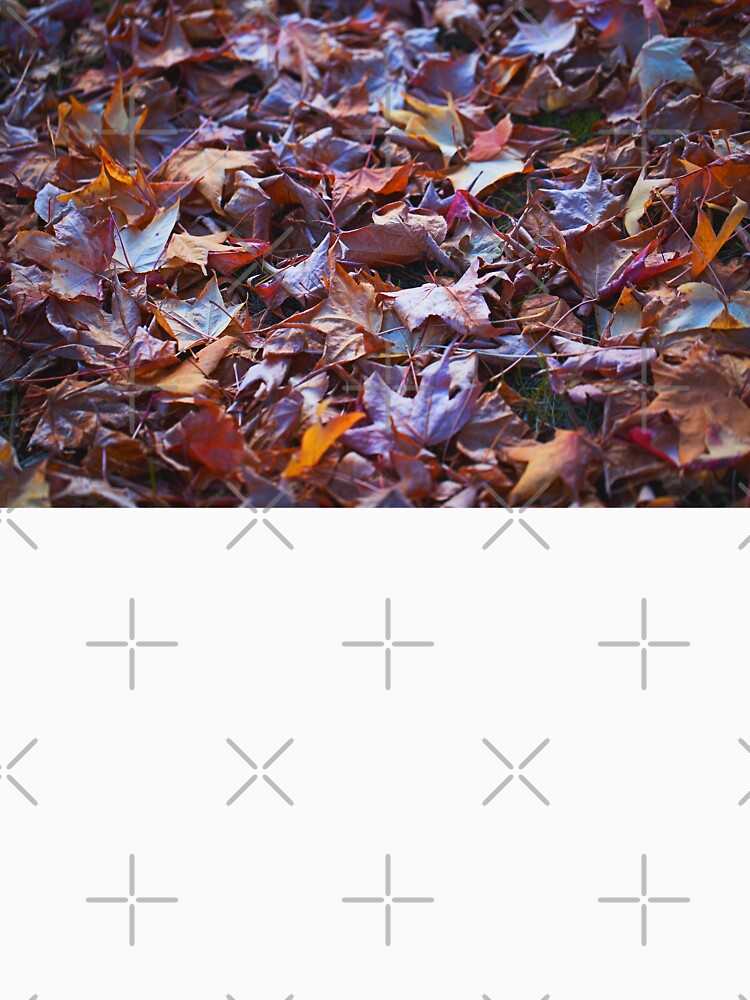 Drying Out Autumn Leaves by Joy Watson - Natural Light Photography