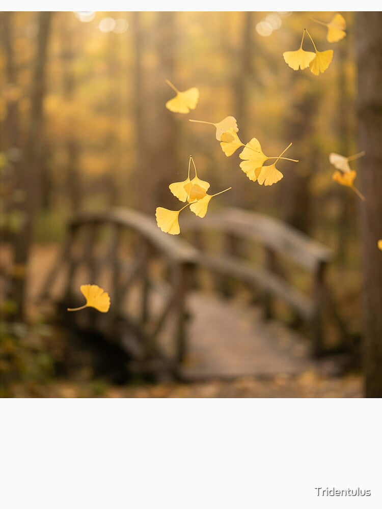 Falling Ginkgo Leaves by Tridentulus
