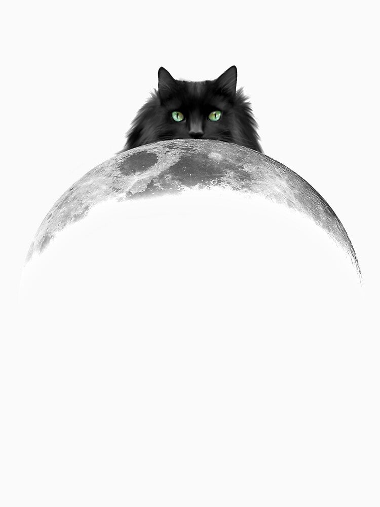 CatSide of the Moon by P-aws