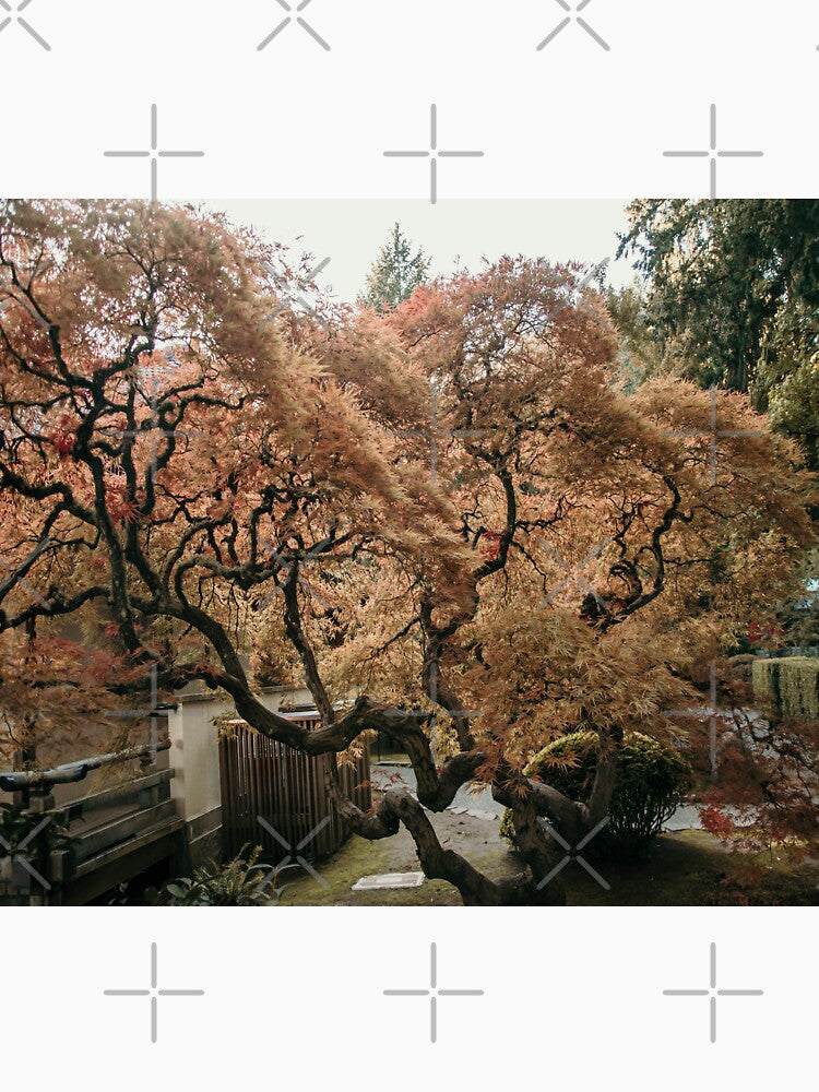 Fall Japanese Maple Tree by JLPhotographer