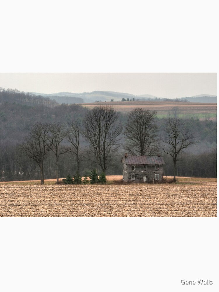 Cold Rain On The Forgotten Farmhouse by Gene Walls
