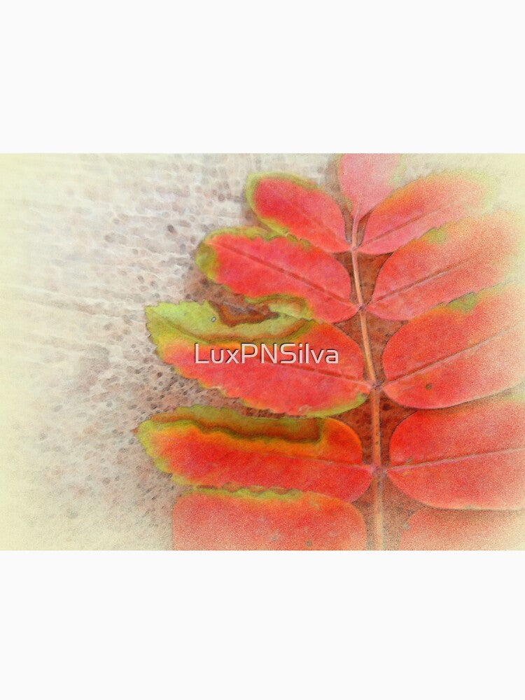 Autumn Leaves by LuxPNSilva