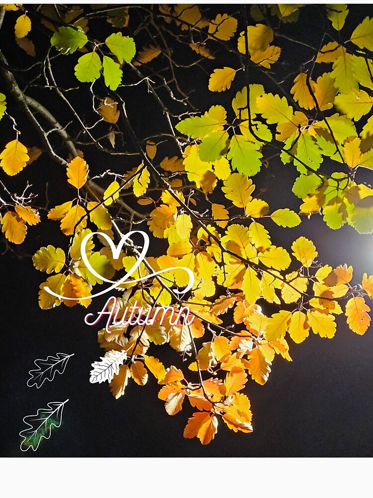 I love autumn. A Branch With Autumn Leaves. by Dinasshop