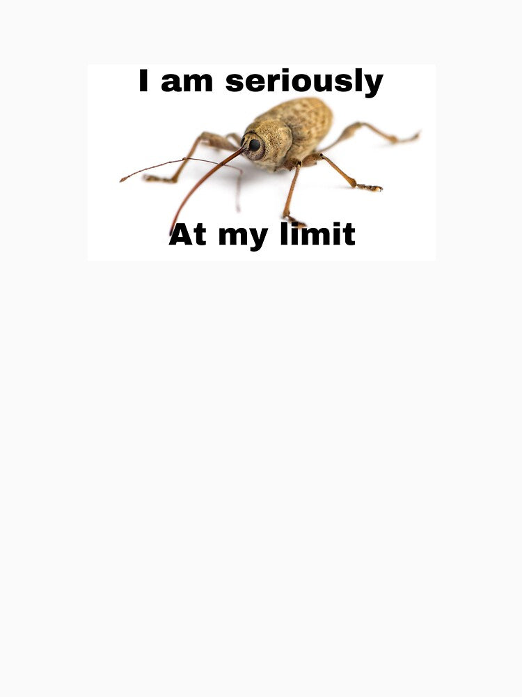 I am seriously at my limit acorn weevil by Magironi