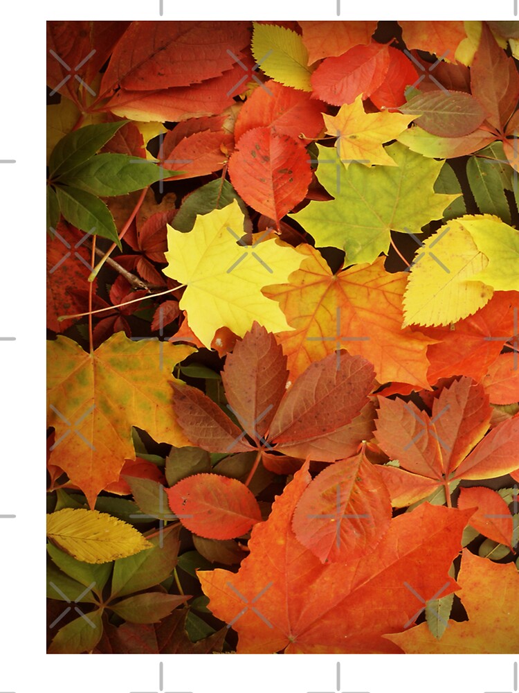 autumn leaves pattern by virilamissa