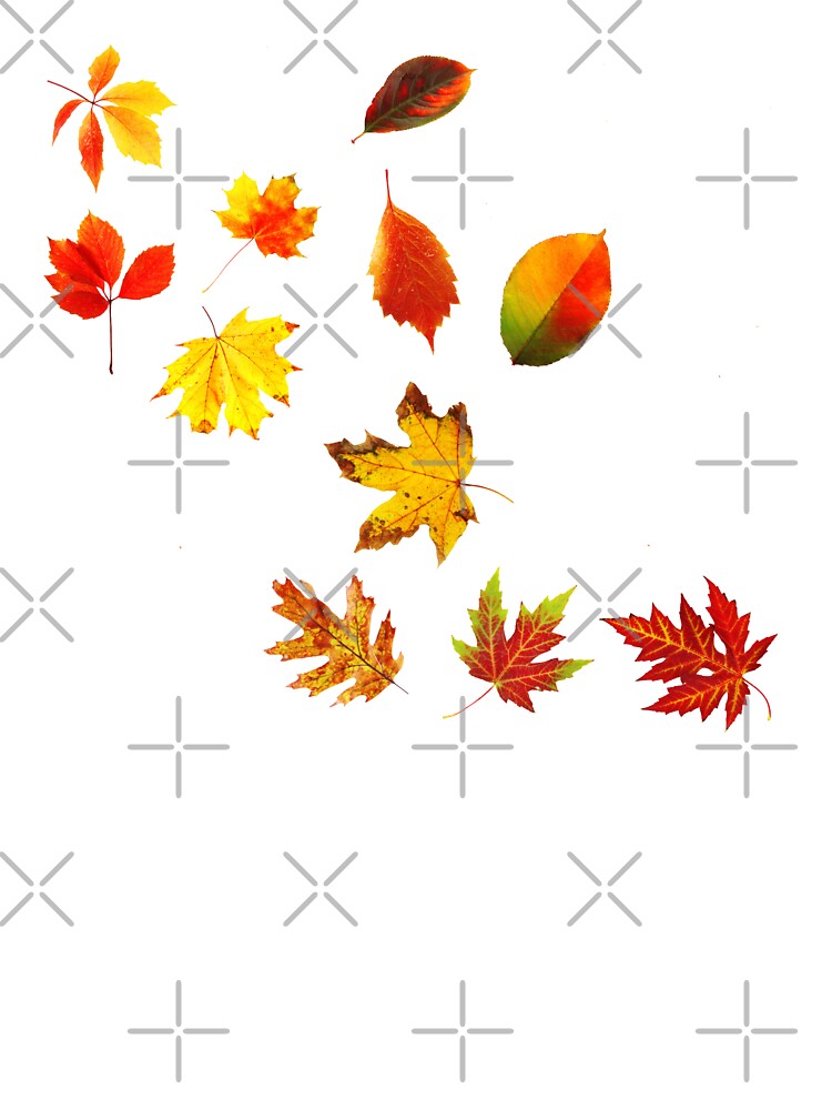 leaves for heart by Beena83