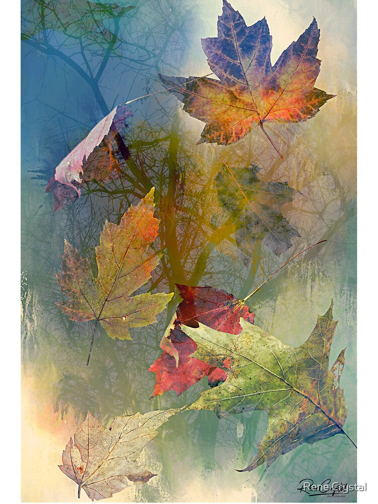 Autumn Exposure by Rene Crystal