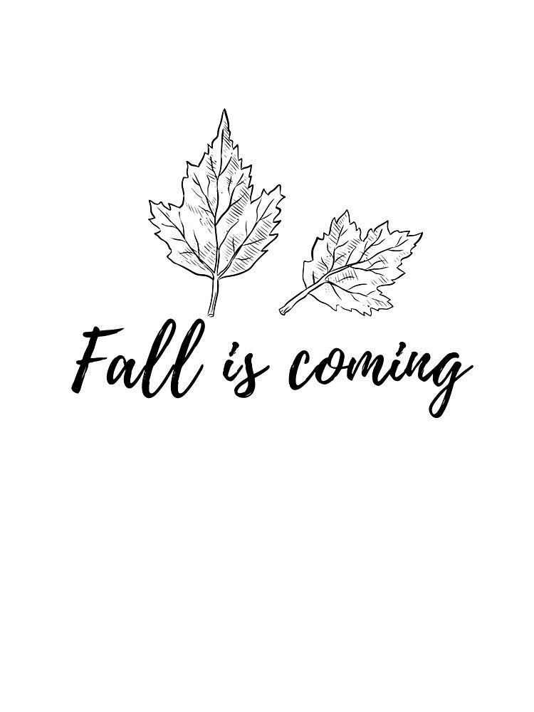 fall is coming by Glorious Articles