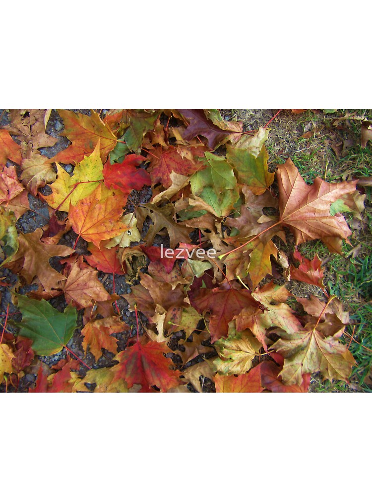 Autumn Leaves by lezvee