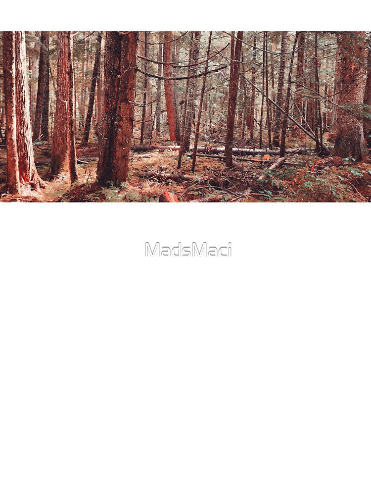 Boreal Forest in Autumn by MadsMaci