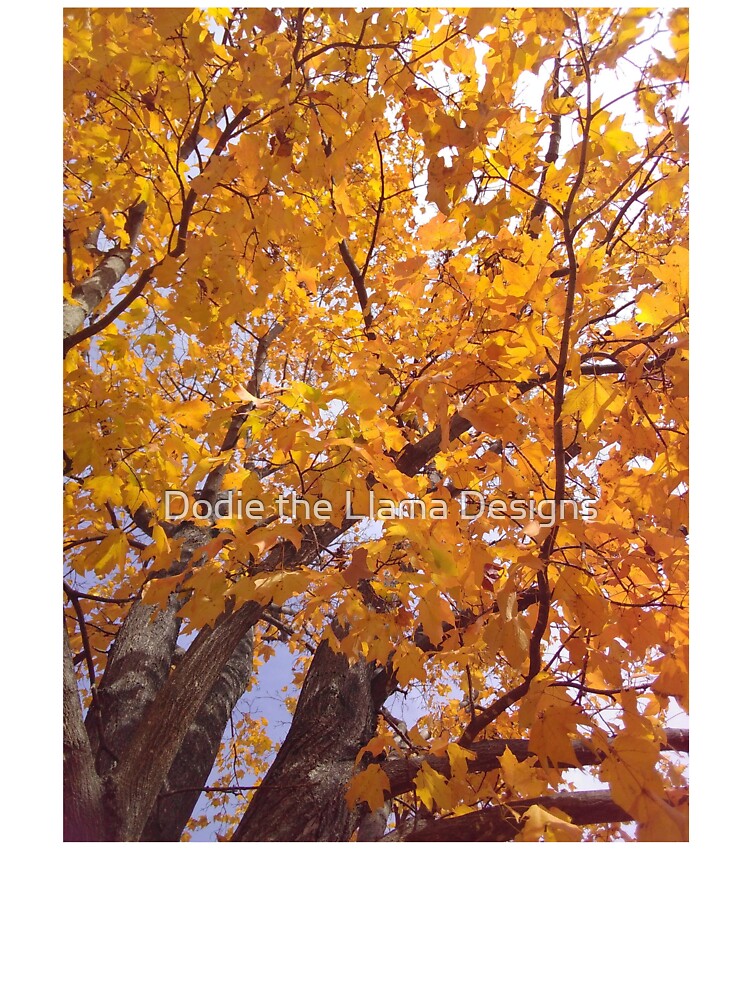 Yellow Autumn Leaves by Dodie the Llama Designs