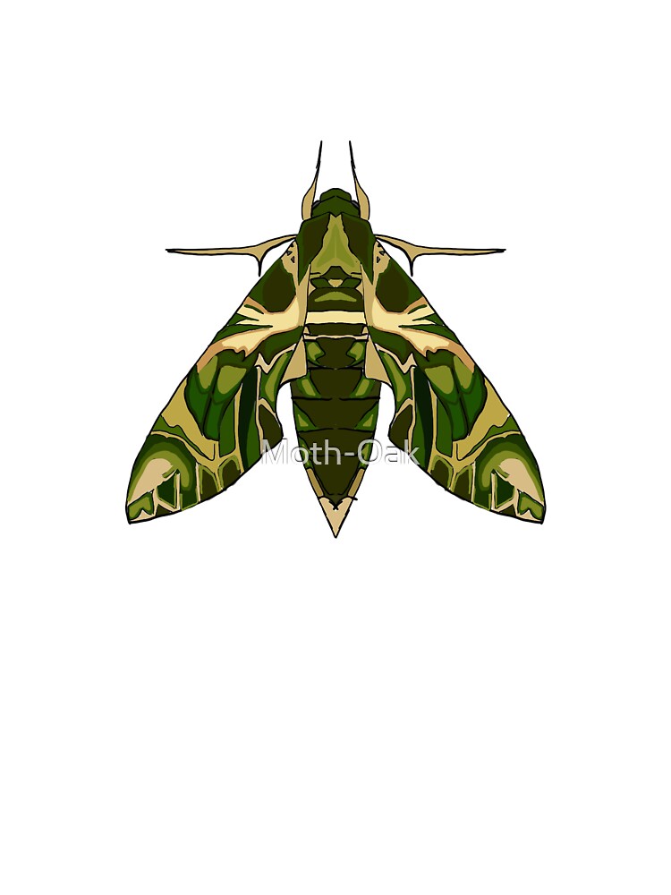 oleander Moth detailed by Moth-Oak