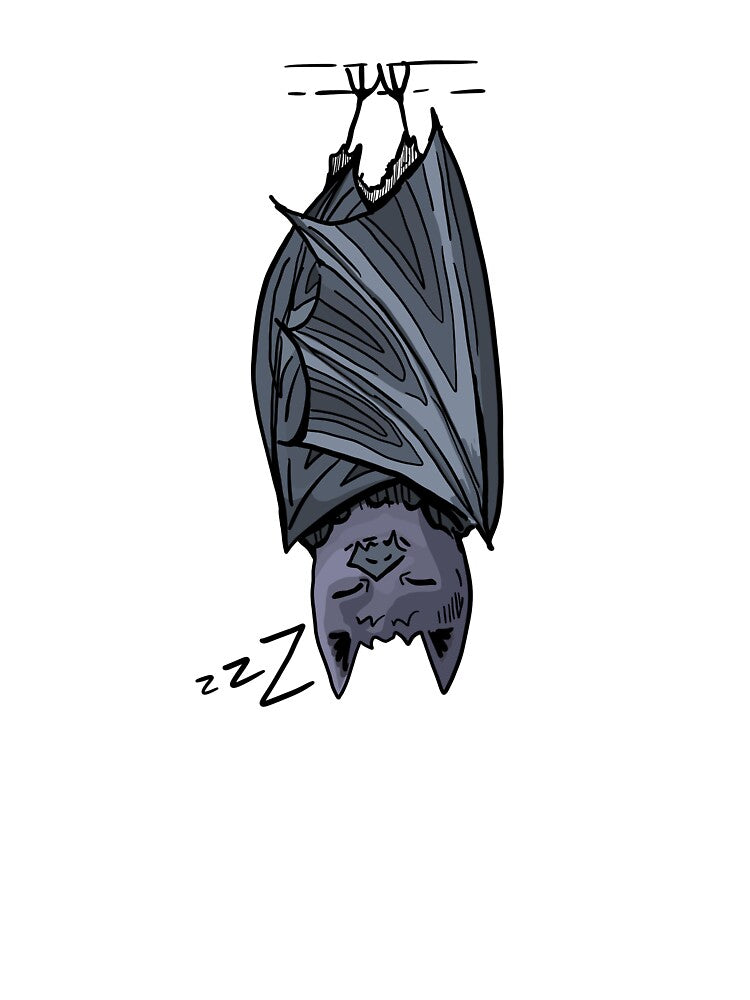 Sleepy bat by maryflo