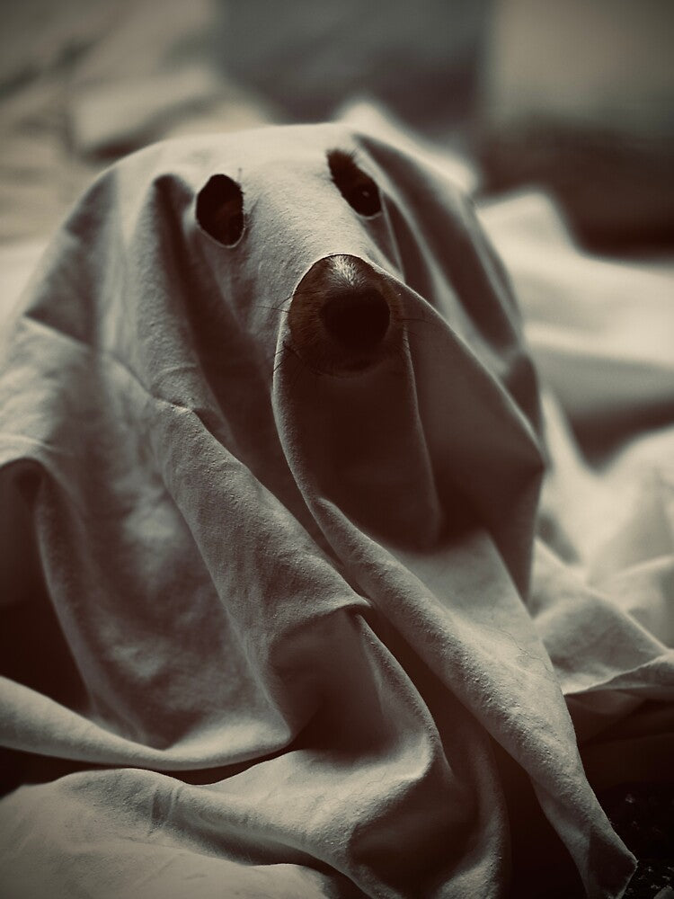 Charles the ghost by Loverlyskye