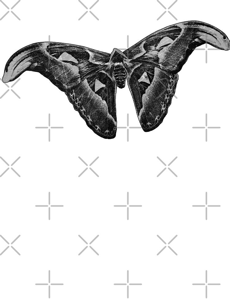 Atlas Moth Dark Gothic Entomology Specimen Art by Ghoul Enterprises