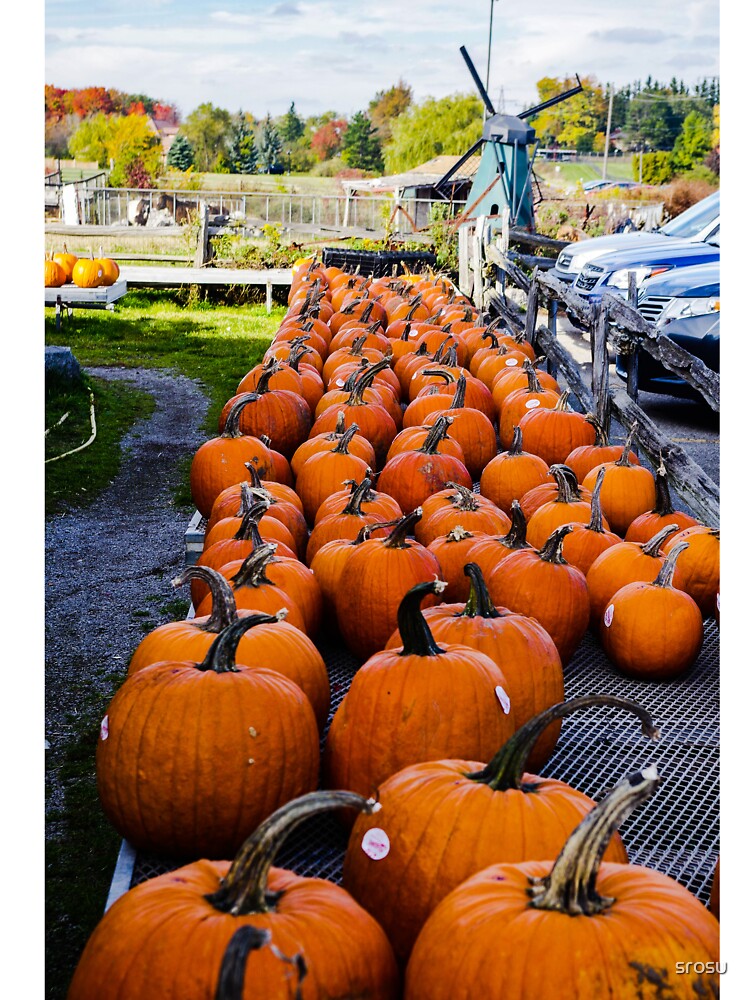 Pumpkin season! by SRosuphotos