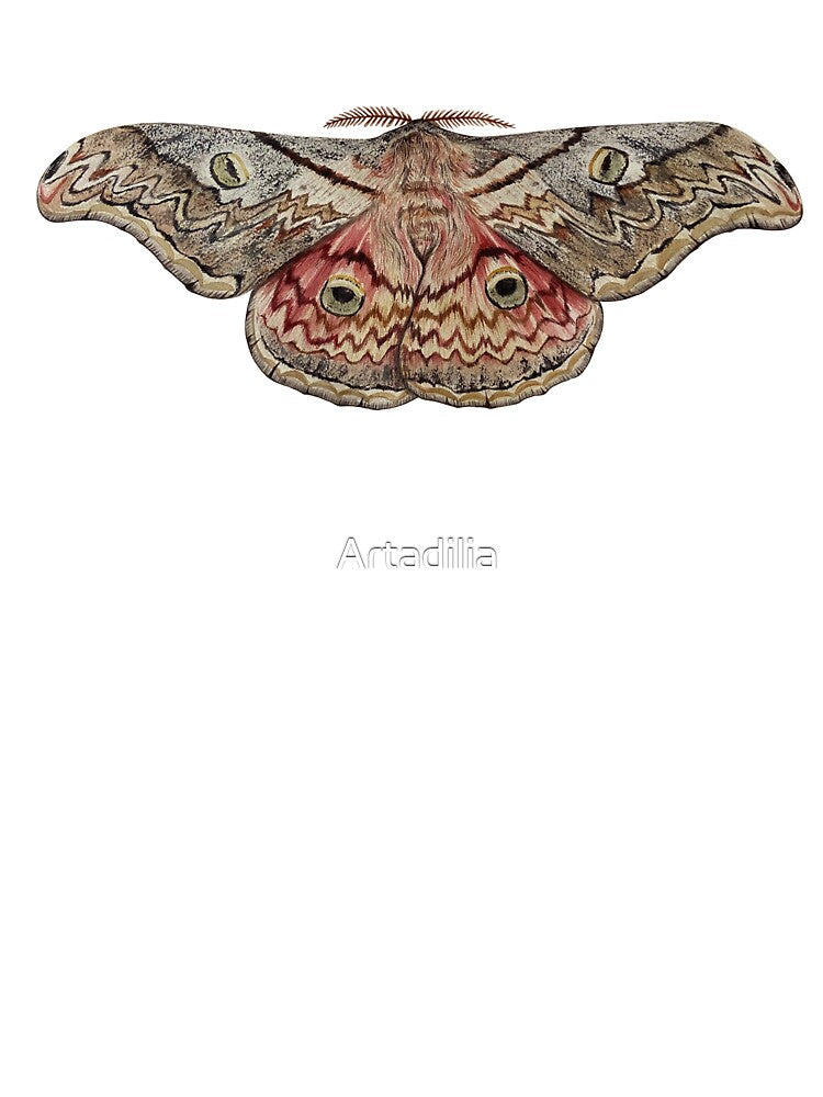 Moth by Artadilia