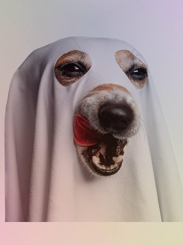 Dog ghost by anilokin9