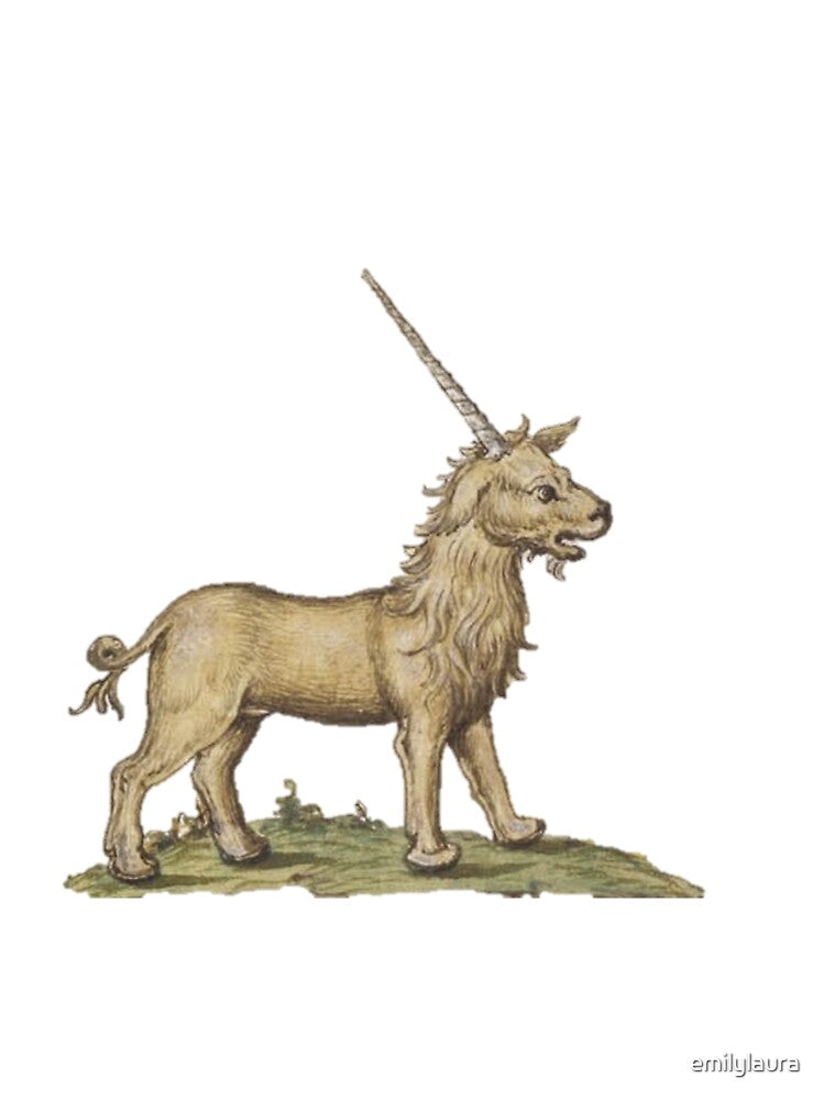 Unicorn by emilylaura