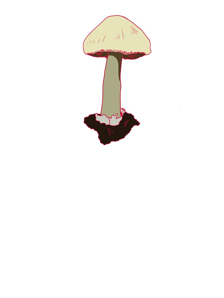 Deathcap Mushroom by doodlephee