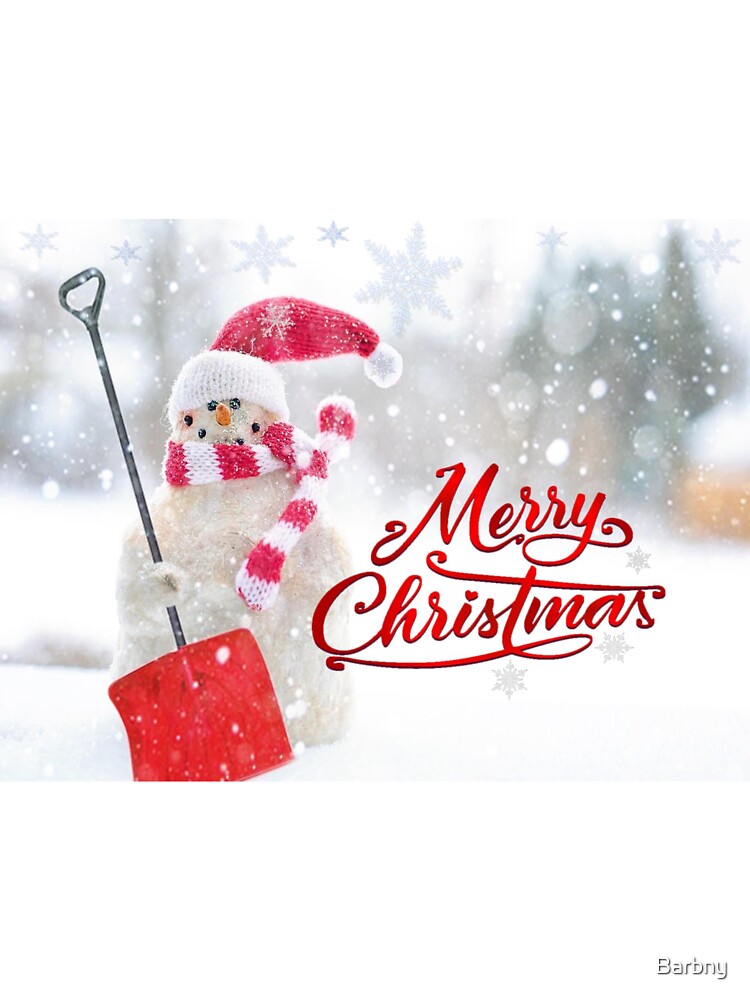 Greetings from the Snowman by Barbny