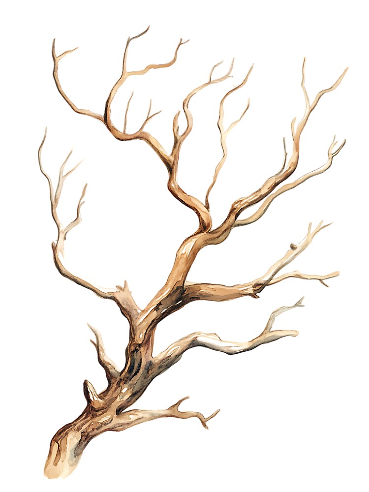 Goblincore Aesthetic: Twisted Twig by bapupa