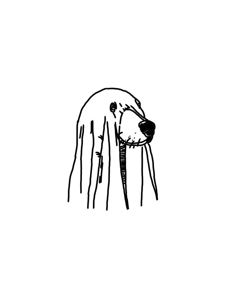 Ghost dog by summitleigh