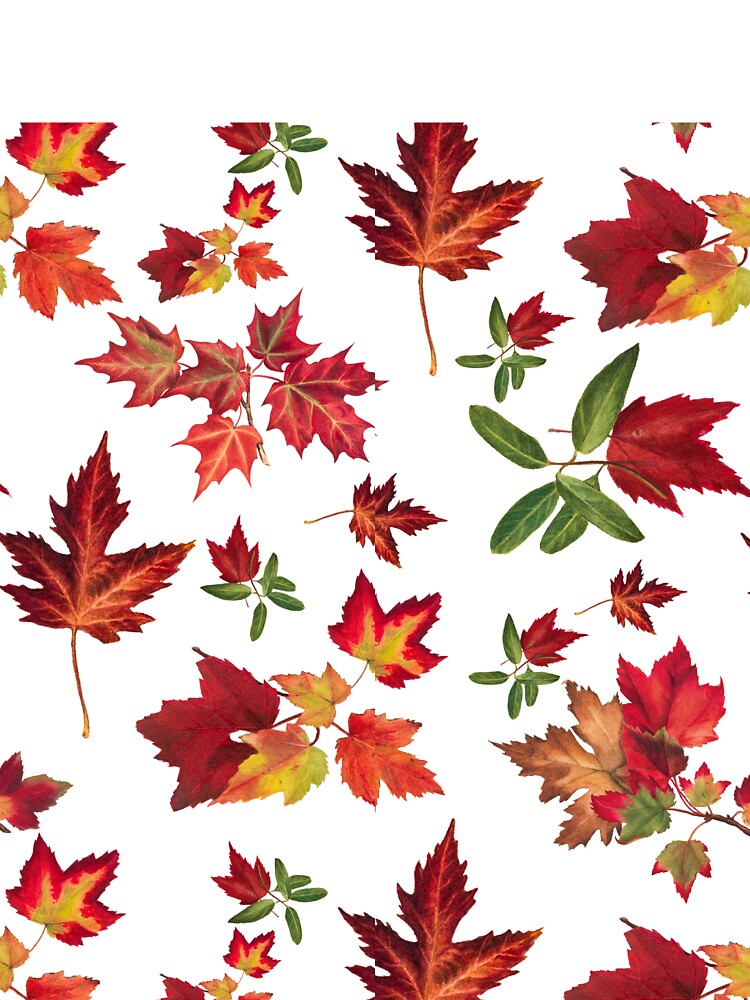 Autumn leaves detail pattern by Cattigal