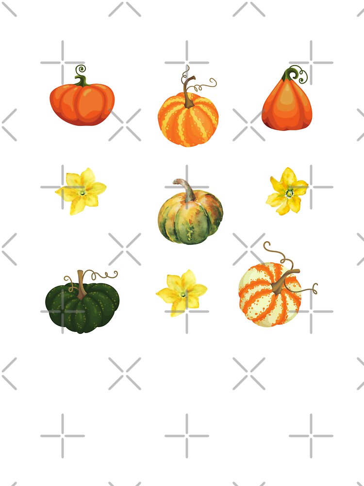 Fall Harvest Green and Orange Pumpkins and Pumpkin Flowers by silviaol