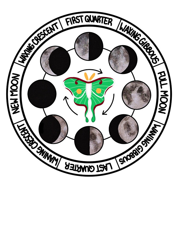 Lunar Moth Moon Phases by EarthenSpirit