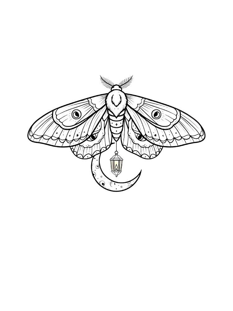 Crescent Moth Lantern by IllumeInk