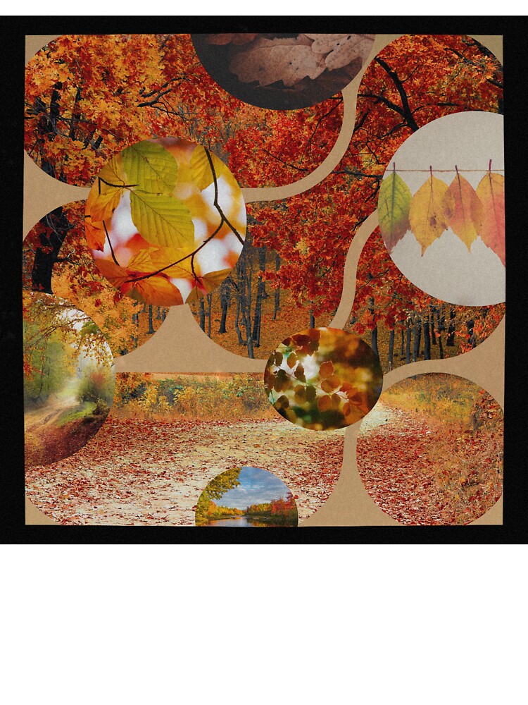 Autumn photographs by Abelievingheart