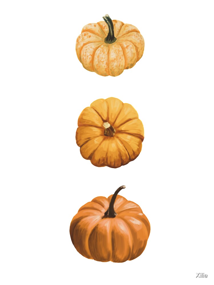 Orange Pumpkins by Xilie