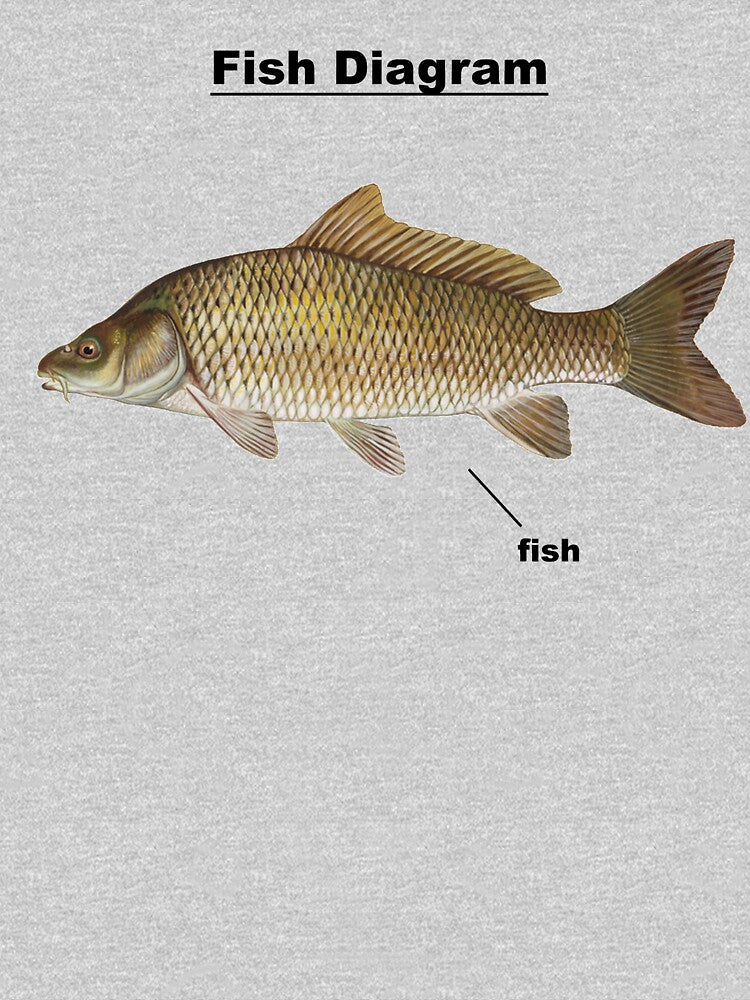 Fish Diagram by GusMurray