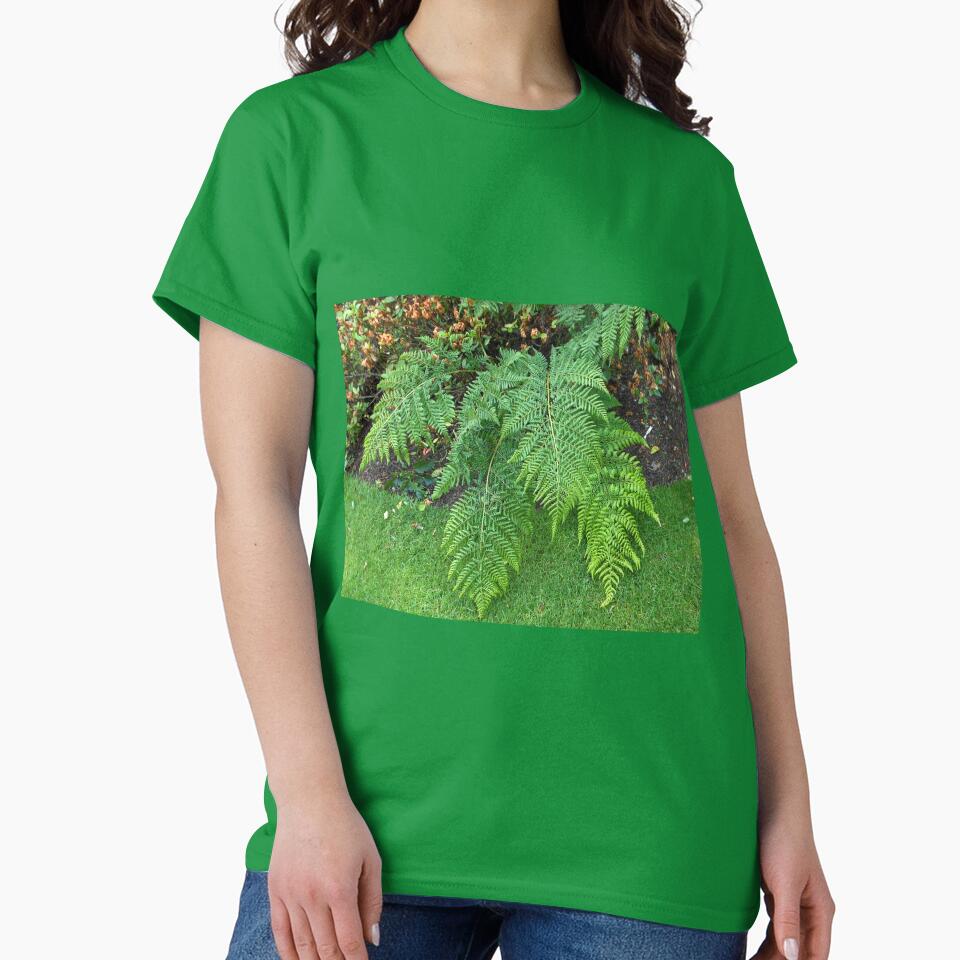 A Touch of Green - Beautiful Ferns by Kathryn Jones