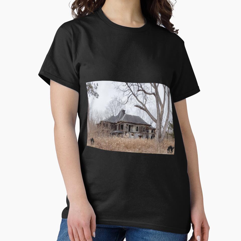 Haunted Mansion, Livingston County, New York by TechLaughs