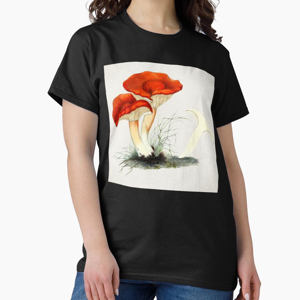 Rufous Milkcap Mushroom by TheArtShop0528