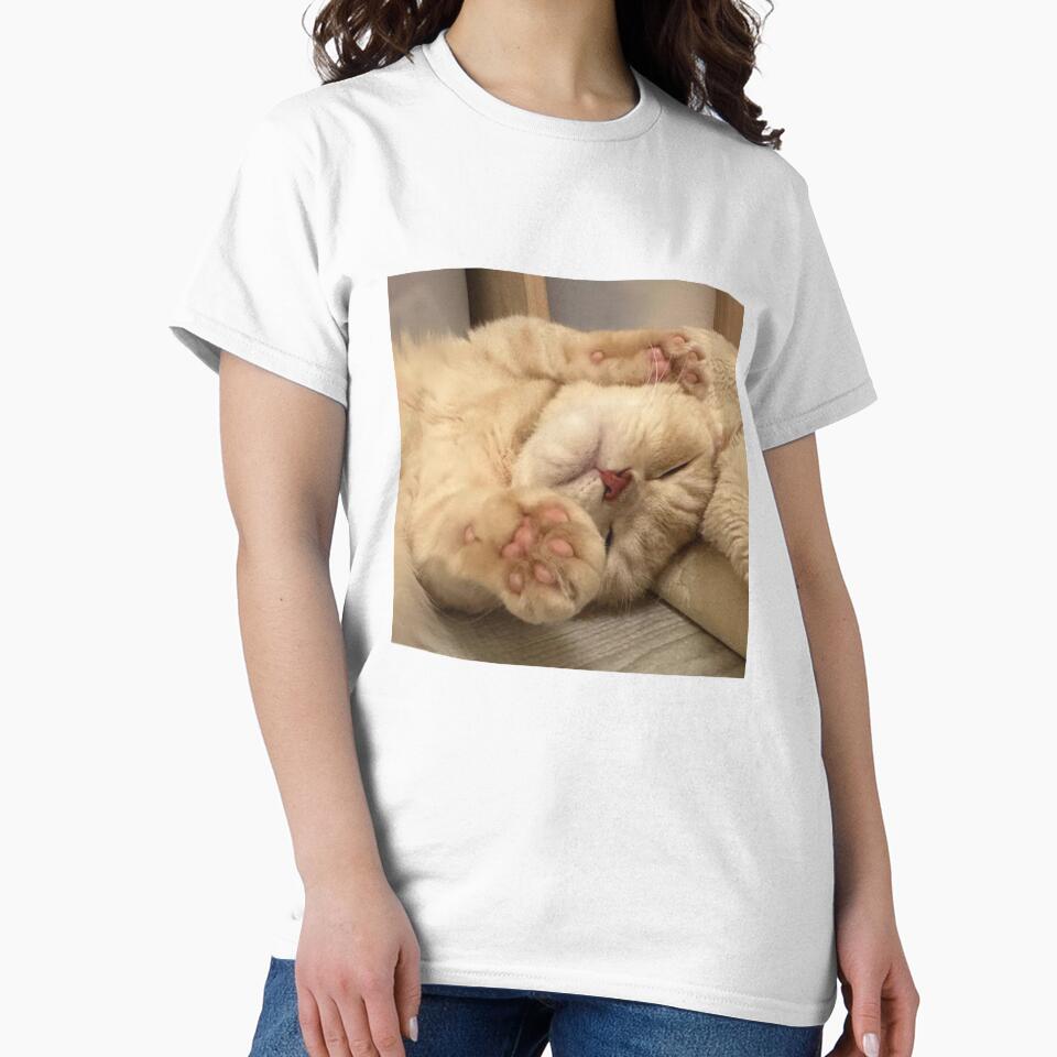 Cute Funny Cat Sleeping Cat Lover by barkandmeow