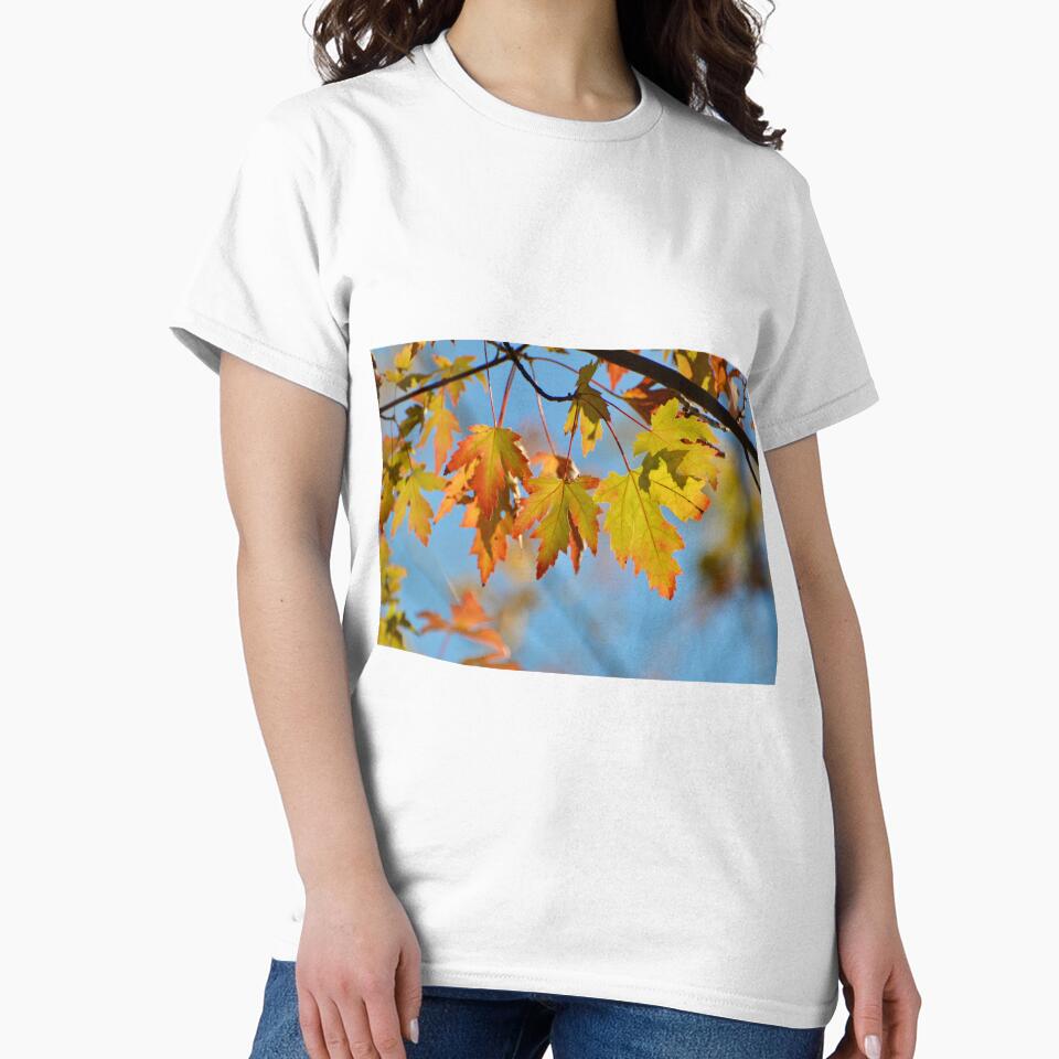 Autumn Leaves by lisapicklepizza